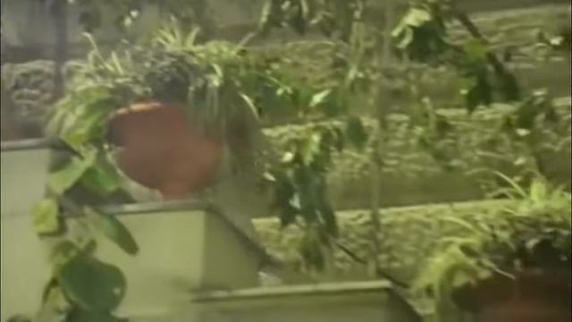 Один мир на двоих - Эдгар Туниянц смотреть онлайн