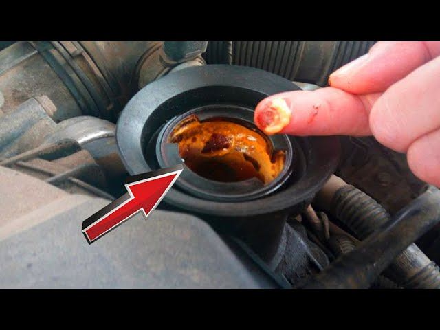 УВИДЕВ ЭТО МНОГИЕ ВПАДАЮТ В ПАНИКУ смотреть онлайн