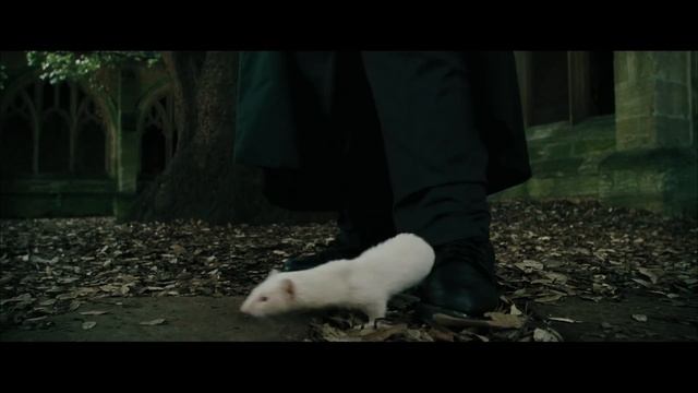 Professor Mad-Eye Moody vs. Draco | Harry Potter and the Goblet of Fire смотреть онлайн