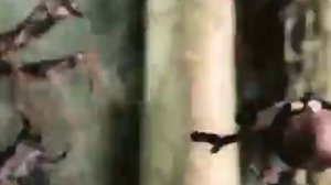 Домовёнок Кузя  1  Приключения домовёнка Кузи online video cutter com