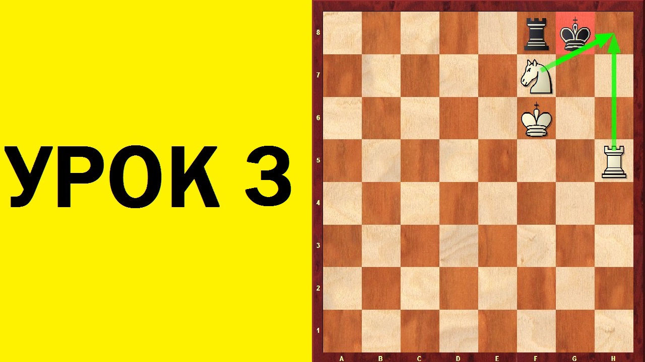 Шахматы для начинающих. Урок 3. Школа шахмат d4-d5. смотреть онлайн