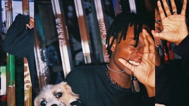 Insight: Dog Eat Dog World смотреть онлайн