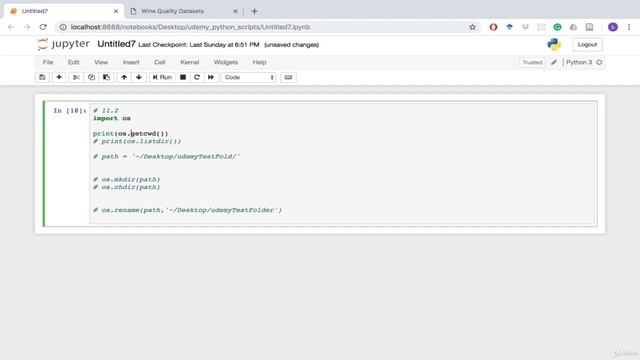 Python + Data Science : Practical Guide (2 Navigating Directories and os Package) смотреть онлайн