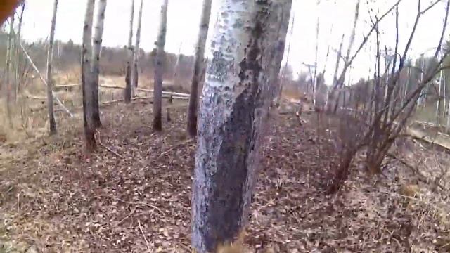 Одиночный Поход На 20 Км по родному Краю смотреть онлайн