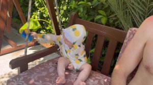 Fame Hotel Kemer 3*, июль 2024