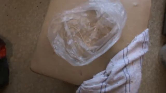 ГЛИСТЫ У СОБАКИ (бульдожка) смотреть онлайн
