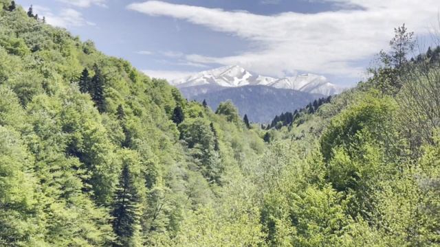 Кавказский биосферный заповедник смотреть онлайн