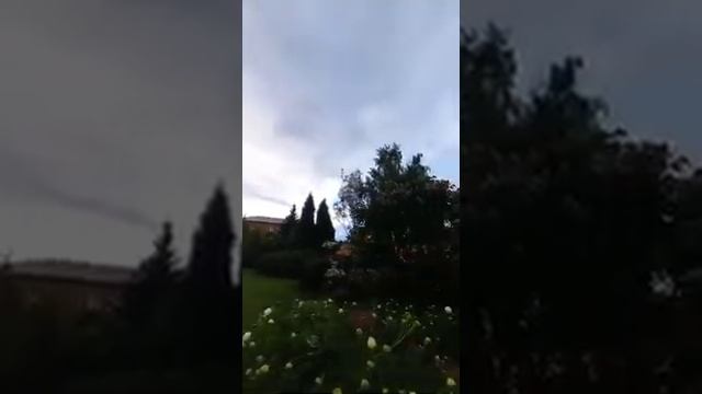 Задонский скит. смотреть онлайн