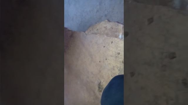 Делаєм силки на фазана ,куропатку(часть1). смотреть онлайн