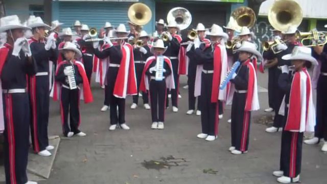 Real Banda Juvenil De Venezuela - Alma Llanera (Boulevar de Sabana Grande - Octubre 2009) смотреть онлайн