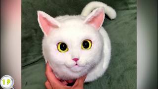 60 КРУТЫХ ТОВАРОВ С ALI _ САМЫЕ ЛУЧШИЕ ВЕЩИ С АЛИ.mp смотреть онлайн