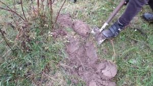 Вышли на металокоп и тут... неожиданно! Интересные находки. Всё из за Метало Копа