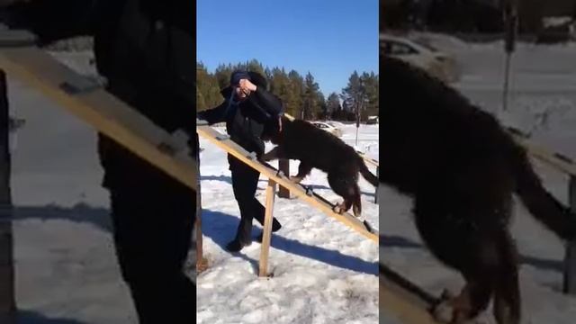 FFJD11211 смотреть онлайн