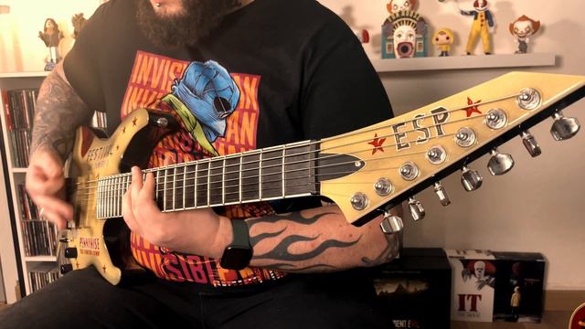 Decapitated : Never (Guitar cover) смотреть онлайн