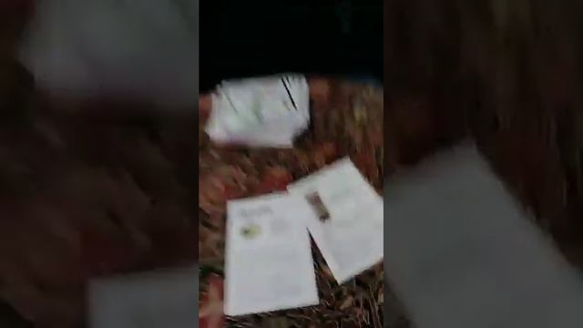 Raining Money Into Your Life | Coventry Magic Oracle Reading | Jacki Smith смотреть онлайн