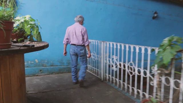 Dad's Plant Tour - Peruvian Jungle смотреть онлайн