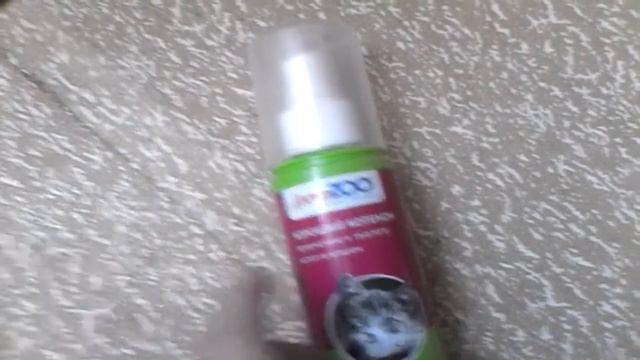 Что нужно для котят?