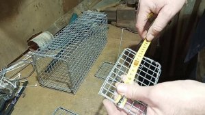 Как сделать крутую крысоловку самому.