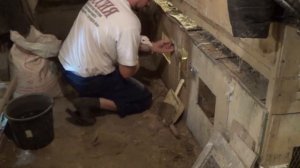 Индюки Белая широкогрудая вес в 3 месяца