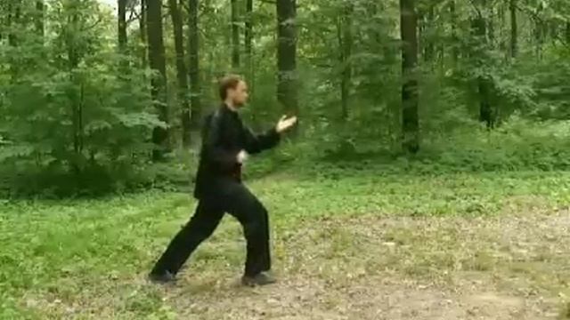 Dingshi2  тайзцицюань стиля У (динши)