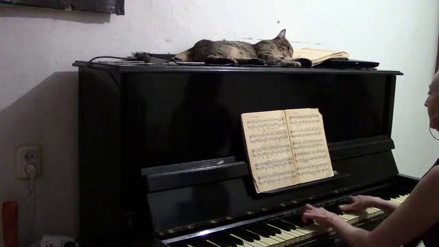 Когда умирает любовь Нэтэниэль поёт-самоучка смотреть онлайн