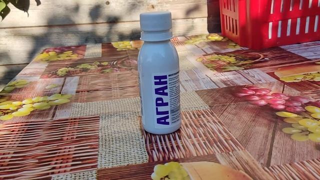 Отличное средство от мух! Агран. смотреть онлайн