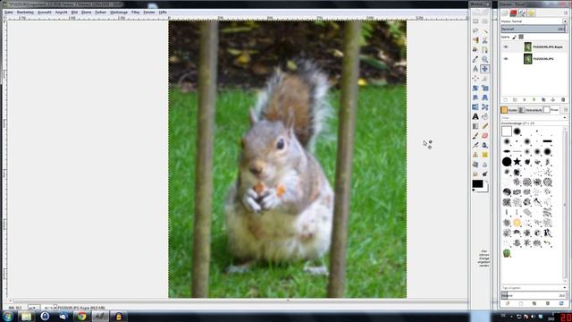Gimp Hintergrund unscharf machen | Gimp weichzeichnen ✅ Tutorial смотреть онлайн