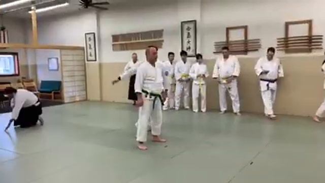 Self-defense Line for Purple Belt: highlights смотреть онлайн