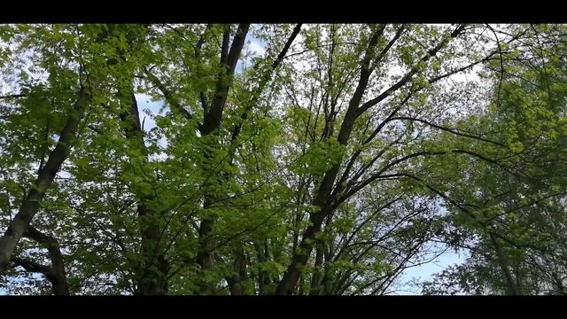 Красная нить на запястье для успеха и процветания! смотреть онлайн
