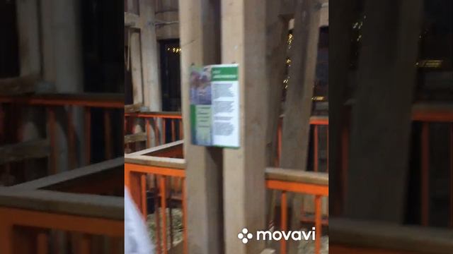 Ферма с домашними животными на территории Ново-Простоквашино на ВДНХ . Москва .10 декабря 2023 г. смотреть онлайн