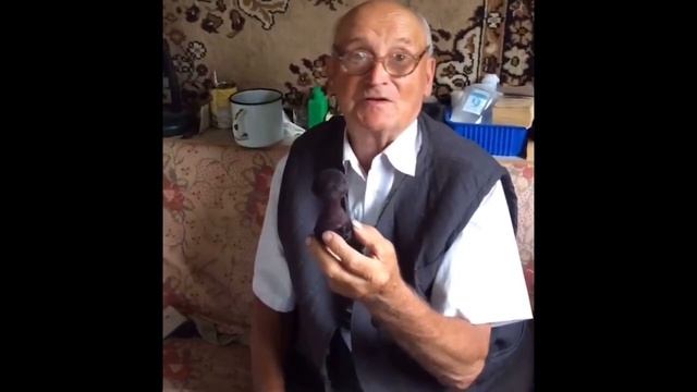 Загадочная история Аманиты Мускарии смотреть онлайн