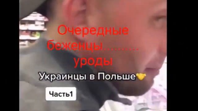 Укро - туристы----беженцы смотреть онлайн