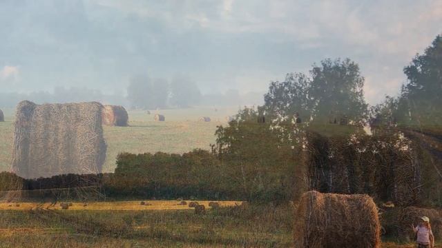 ЛЕТО ЗАКОНЧИЛОСЬ... (Ал-др Деспла в Сибири), фото Ал-дра Шадракова (Кемерово)) смотреть онлайн