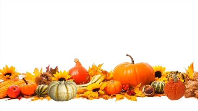 Why are pumpkins so popular every fall? смотреть онлайн