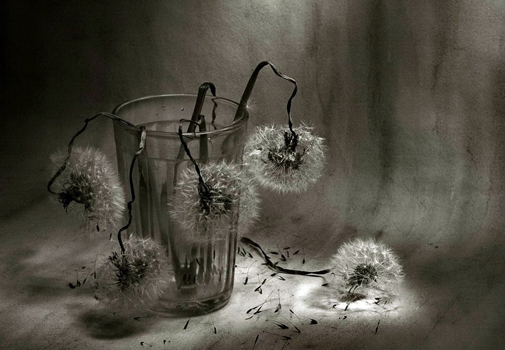 Настороженность