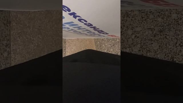 Беглов собирает подписи без паспортных данных смотреть онлайн