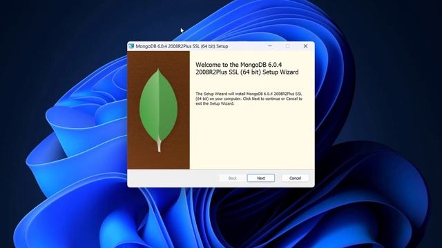 Introduction and Installation Guide: Unlocking the Power of MongoDB смотреть онлайн