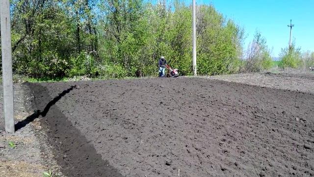 Оранка, мотоблок Мотор Січ, 2016 смотреть онлайн
