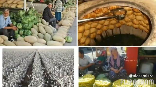 Ташкент город хлебный смотреть онлайн