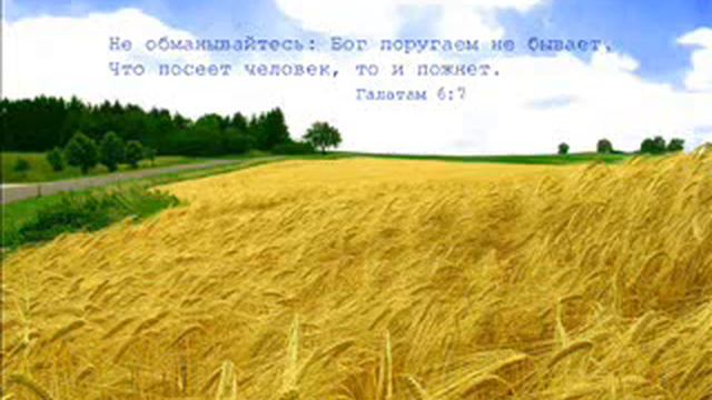 Необходимость Святого Духа смотреть онлайн