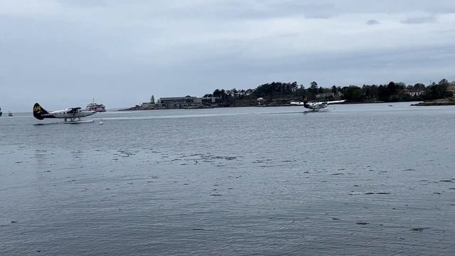 Dancing Duet with Twin Otter and Otter as They Take Off Back to Back смотреть онлайн