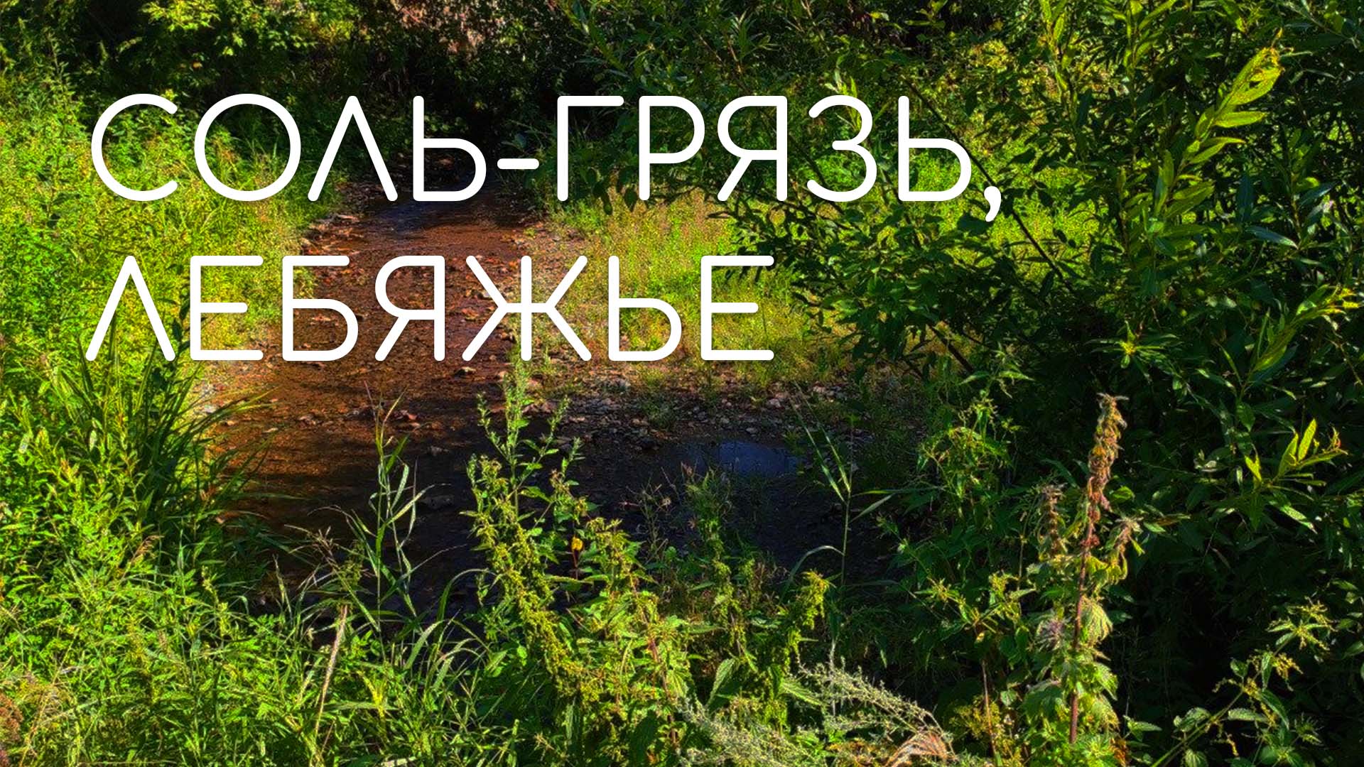 СОЛЬ-ГРЯЗЬ, Лебяжский район Кировской области смотреть онлайн