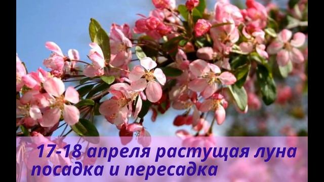 Лунный посевной календарь 2016 апрель 2 часть смотреть онлайн