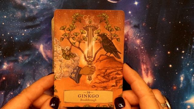 The Herbal Astrology Oracle talia wyroczni pokaz kart смотреть онлайн