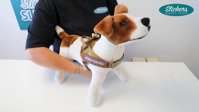Lisa from Slickers talks us through the Ezydog Express Harness. смотреть онлайн