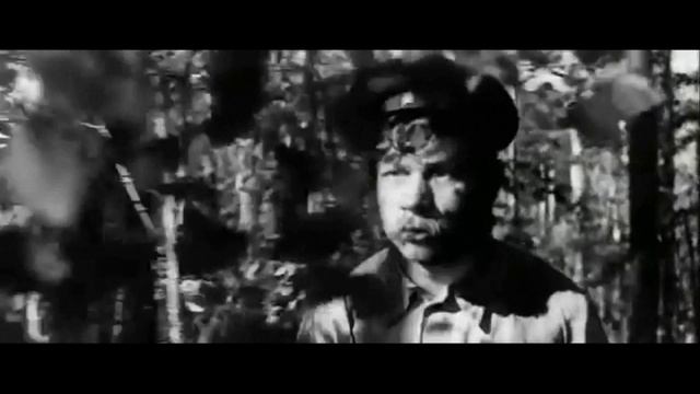 Буктрейлер Б. Васильев " А зори здесь тихие..." смотреть онлайн