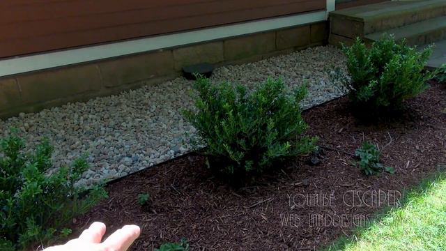 LANDSCAPE DESIGN TIPS & TRICKS смотреть онлайн