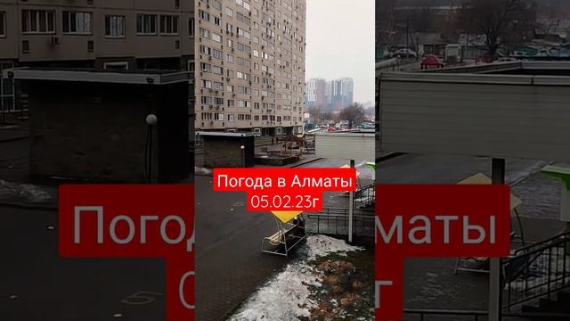 ❗Прогноз погоды в Алматы на 05.02.23 год ❗ смотреть онлайн