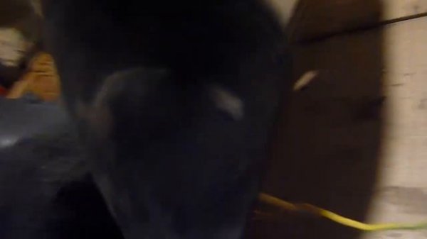 Ремонт подкрылка autosave.mp4