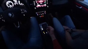 Взял Skoda KODIAQ дизель 150. Сравню ощущения с бензином 180.